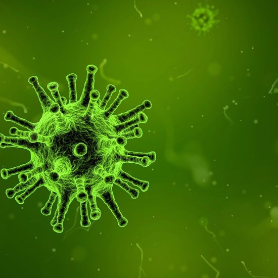 Glacier Reveals 28 Previously Unknown Viruses While a Tooth Shows a 700,000-Year-Old Common Cold