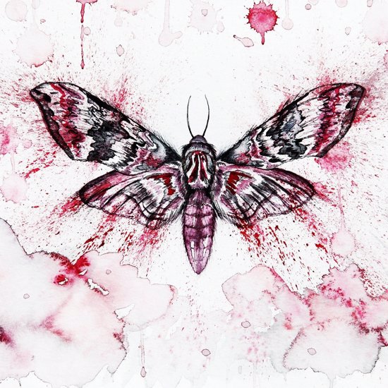 Newly Discovered Insect Resembles the Mothman