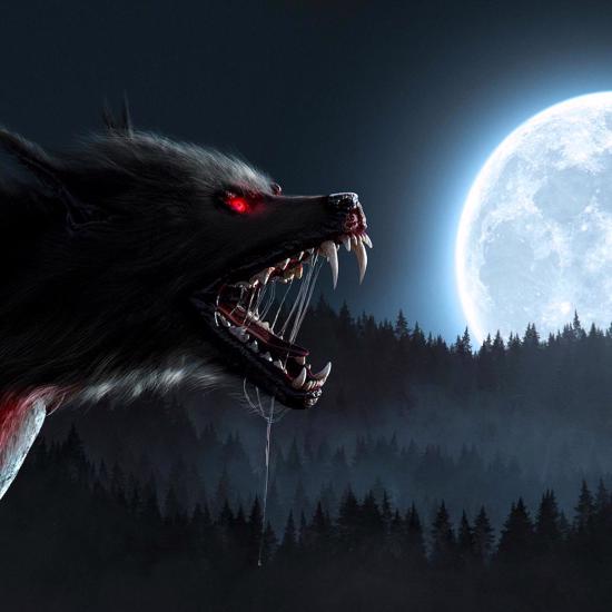 Strange Cases of Werewolves and Dogmen in Brazil