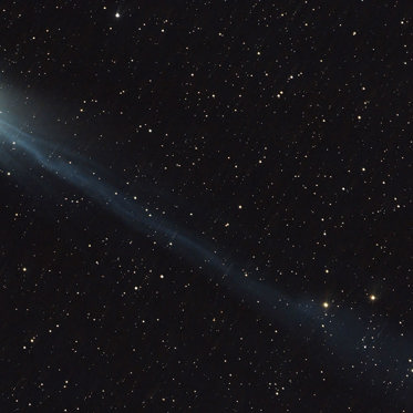 Comets Are Conscious Space Organisms Resembling Terrestrial Microbes!